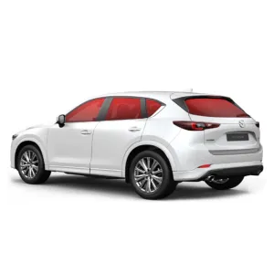 LAMINAS VIDRIOS LATERALES + LUNETA